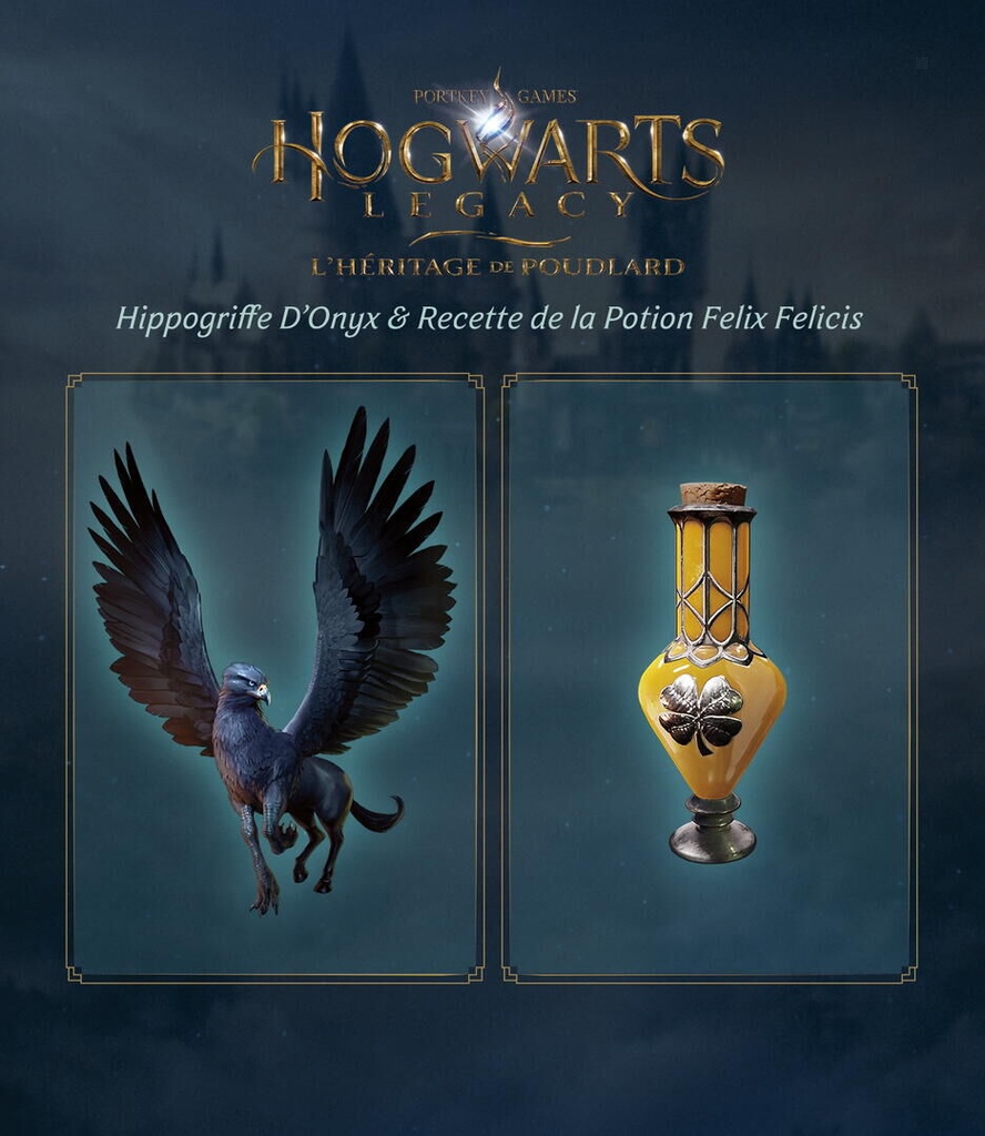 Hogwarts Legacy : L'heritage De Poudlard PS5