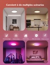 Govee Plafonnier LED RGBIC 30cm 