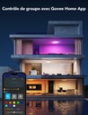 Govee Plafonnier LED RGBIC 30cm 